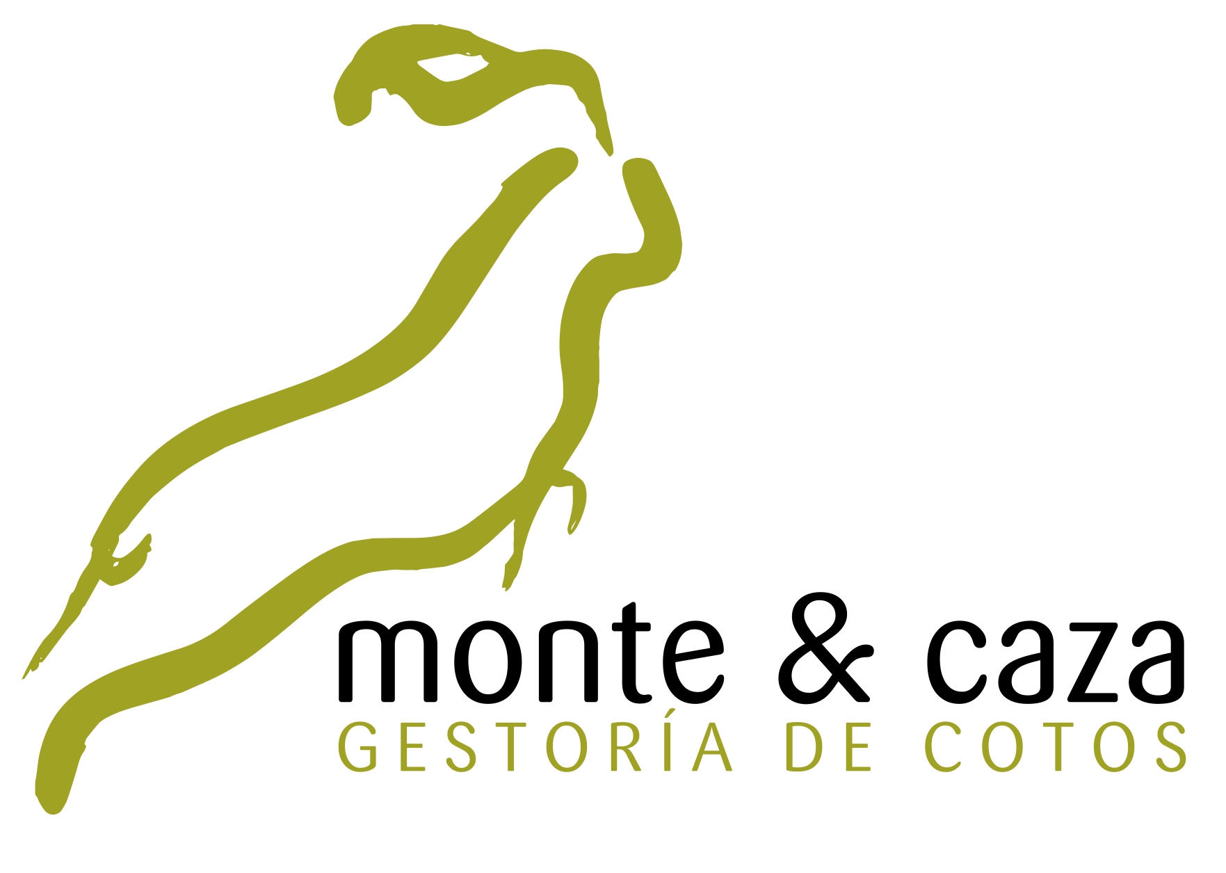Monte & Caza
